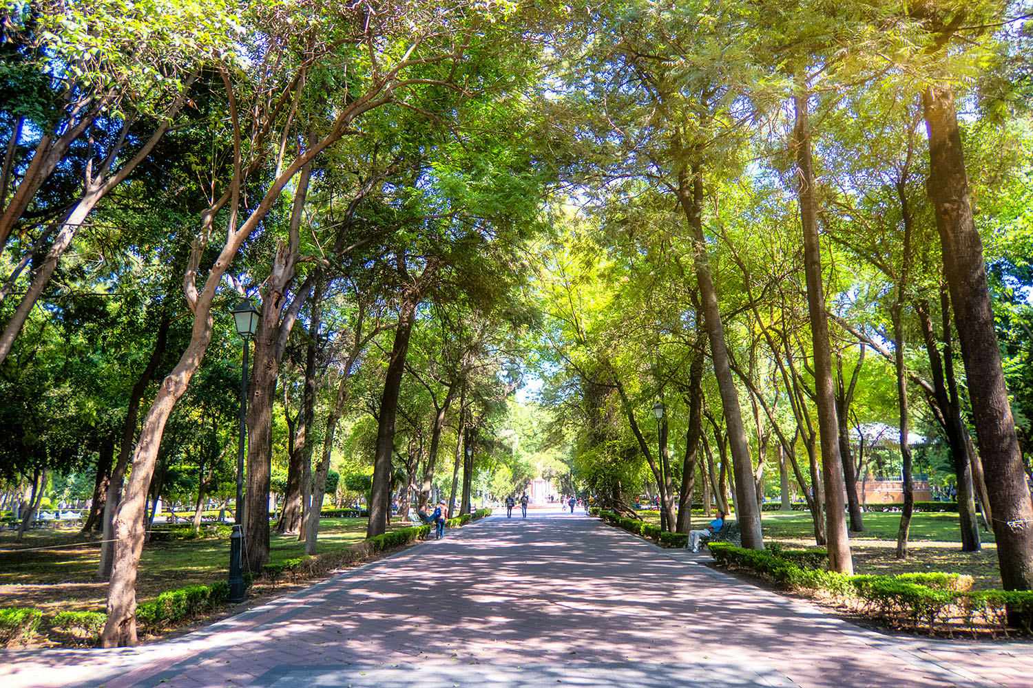 alameda of queretaro-mexico alameda of queretaro-mexico